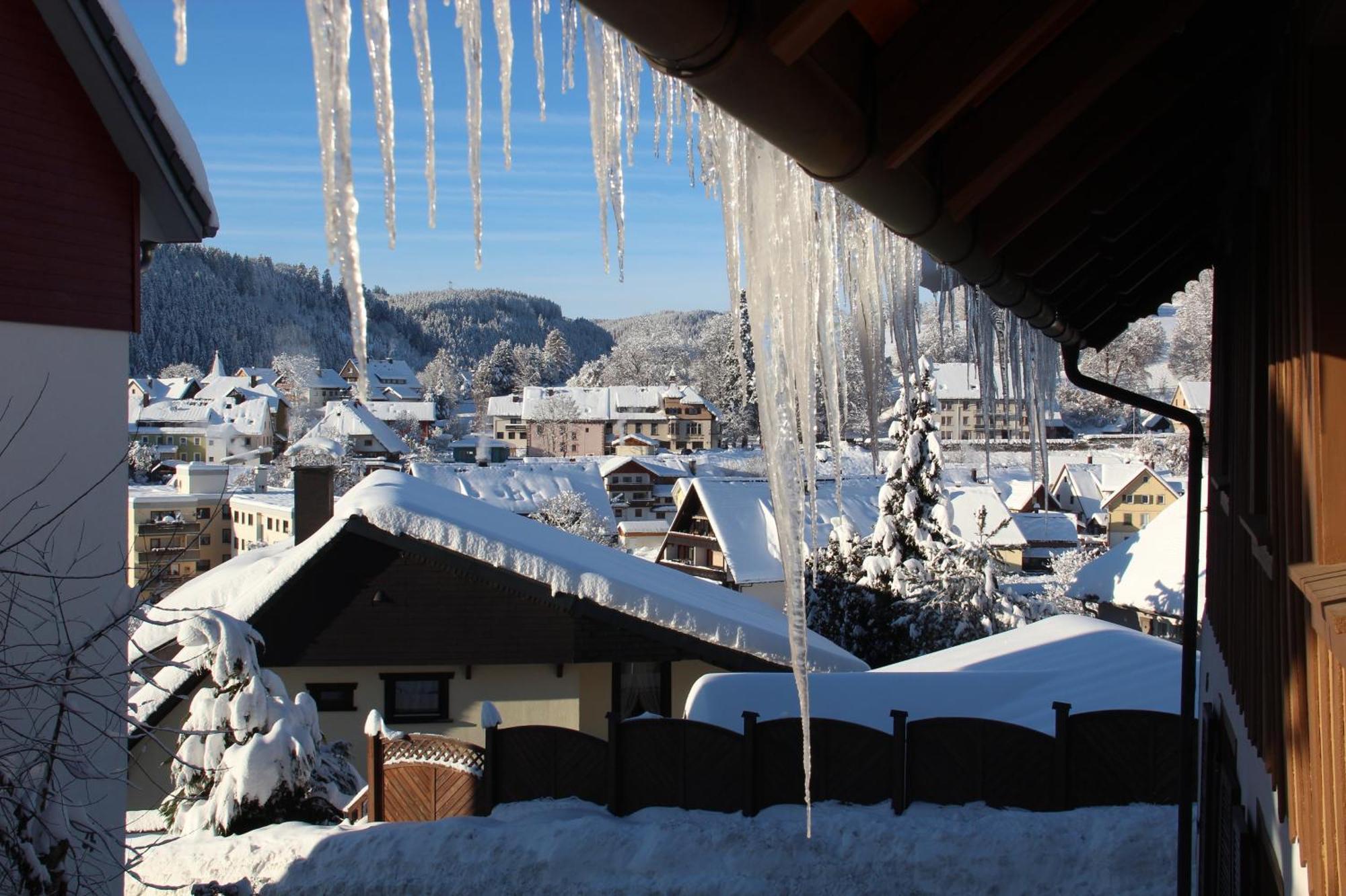 Ferienwohnung Sommerberg, Lenzkirch, 2 Schlafzimmer Экстерьер фото